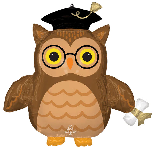 Graduate Wise Owl 4548001