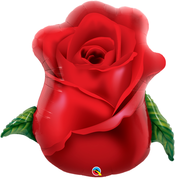 Red Rose Bud 98696