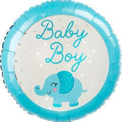 Baby Boy Elephant  4312501