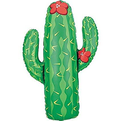 Cactus 15435 - 41 in